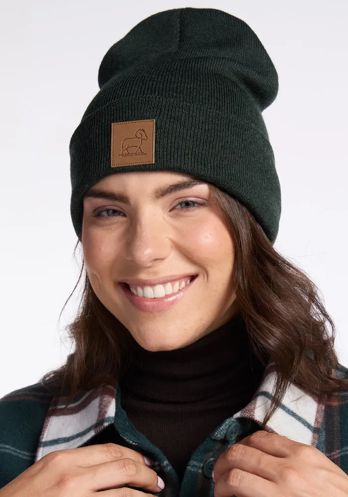 Baylor Beanie • Final Sale Deals! - Pine