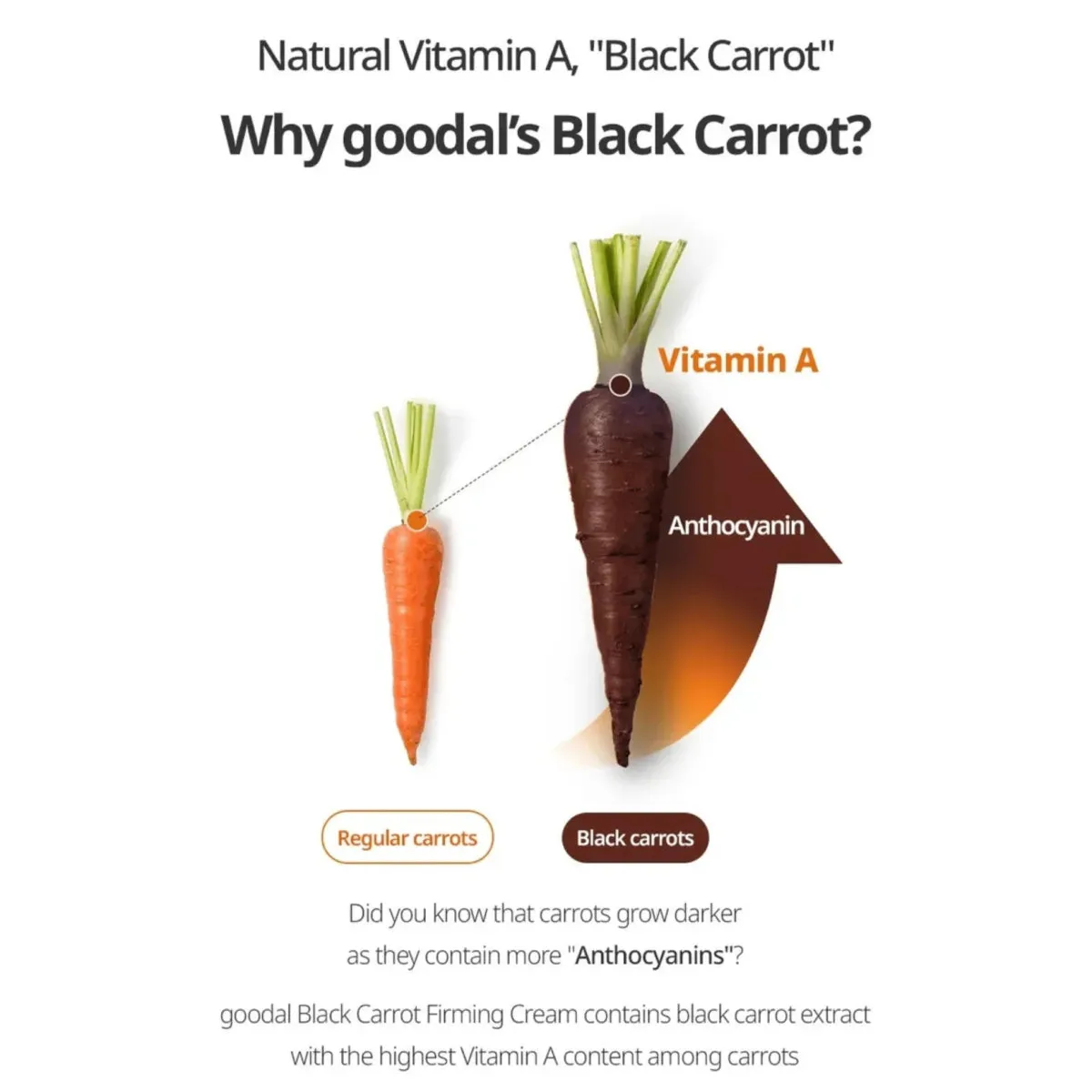 GOODAL Black Carrot Vita A Retinol Firming Cream 50ml