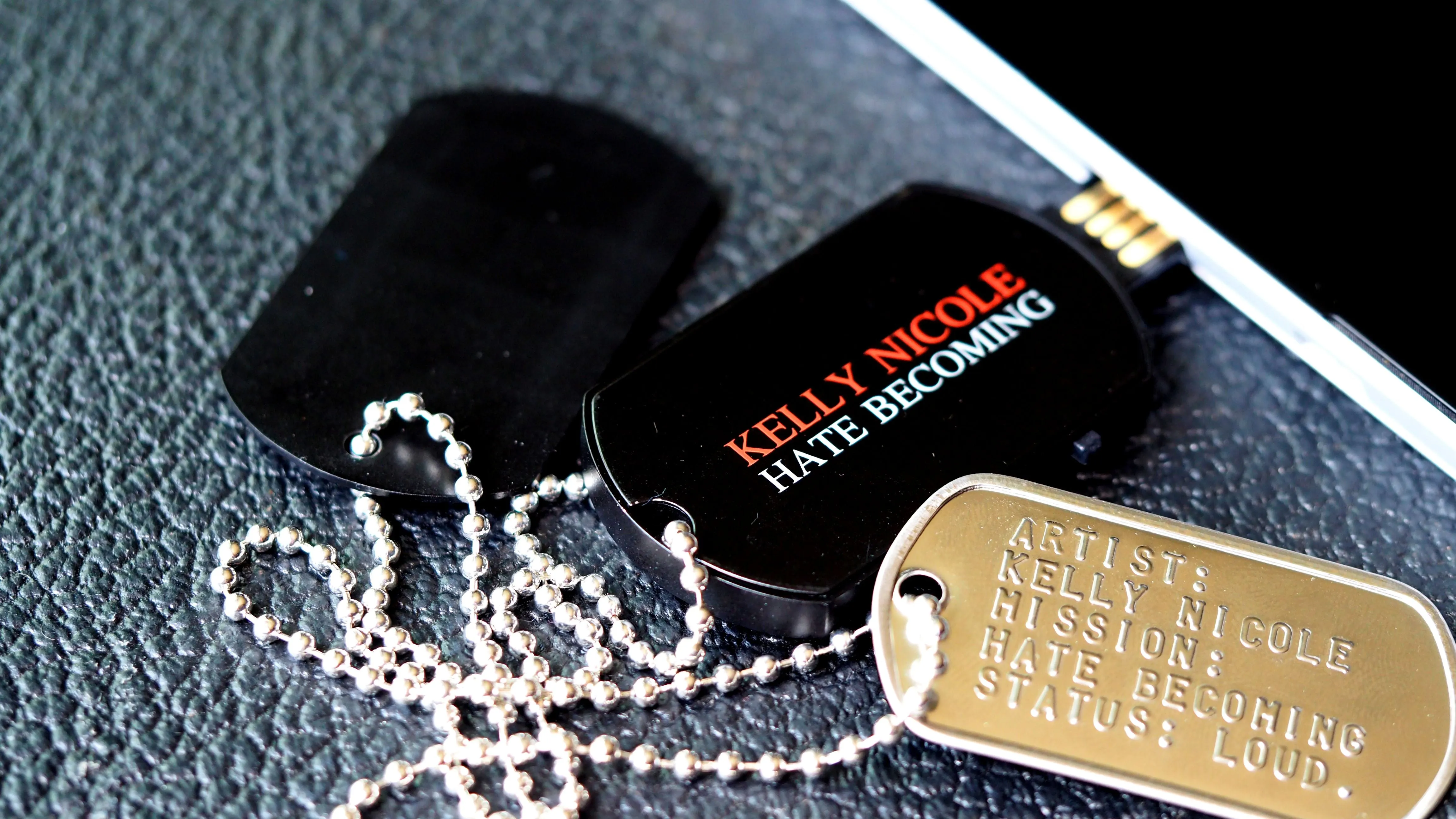 Hate Becoming (Deluxe Edition) flash drive