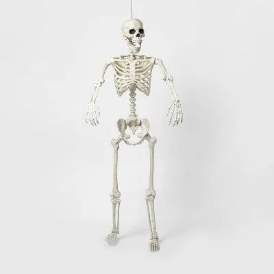 Open Box - 60" Posable Skeleton Halloween Decorative Mannequin - Hyde & EEK! Boutique™